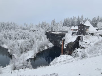 Winter beauty
